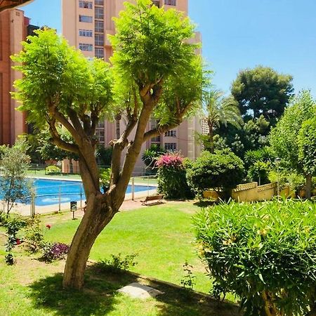 Apartamento Duplex 5 Min De La Playa 베니돔 외부 사진
